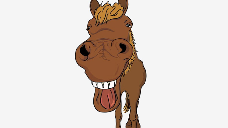 ちんこビンビンのオス馬さん、メス馬に足蹴りされて死亡･･･（動画）