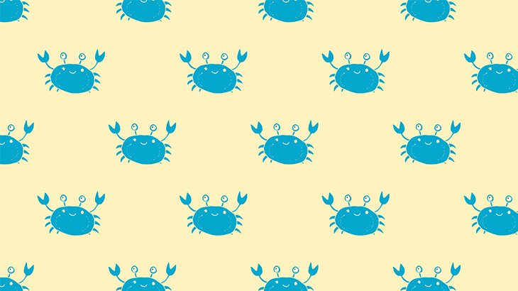 【微閲覧注意】地面を覆う大量の生き物、なんだと思う･･･？（動画）