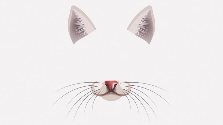 【閲覧注意】猫の鼻にピンセットを突っ込む → とんでもないものが摘出される･･･（動画）
