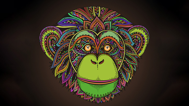 人間のオッサンみたいなチンパンジーが撮影される（動画）