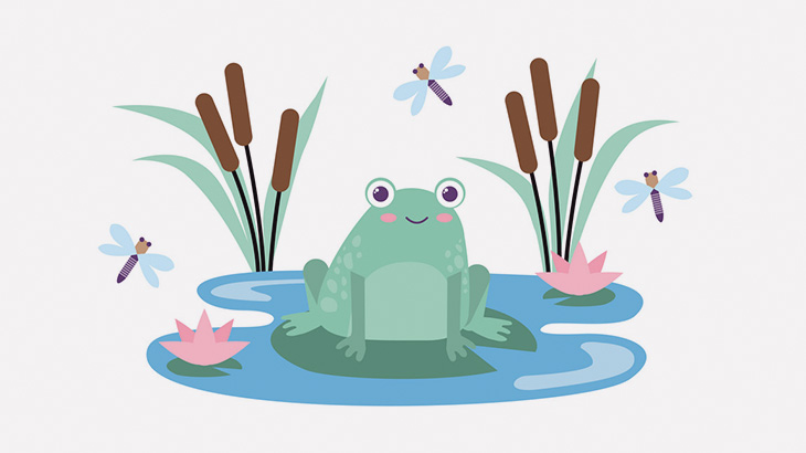 まるで吸盤みたいなカエルが撮影される（動画）