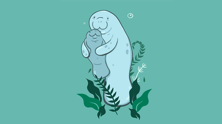 家の近くの小さな川にマナティーめっちゃいるんだけど･･･（動画）