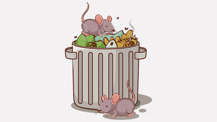 花の都パリ、ネズミだらけ･･･（動画）