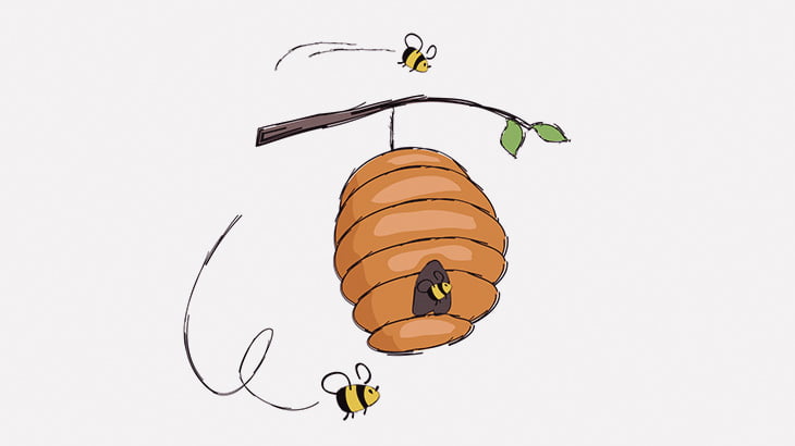 蜂の巣を爆竹で吹き飛ばすわｗｗｗｗ（動画）
