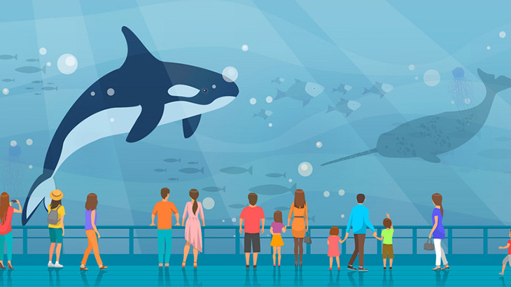 水族館のお魚さん、突然の死（動画）