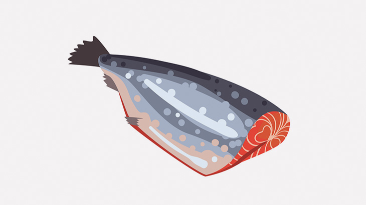 【微閲覧注意】「頭が無い魚」が普通に泳いでるんだけど･･･（動画）