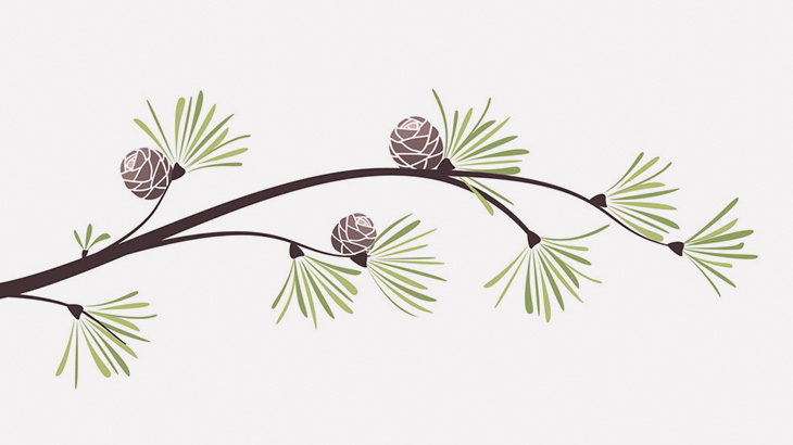 【ゾワゾワ注意】この松の木、キモすぎる･･･（動画）