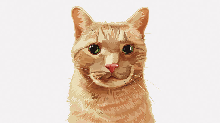 【閲覧注意】うちのおばあちゃんが猫さばいてるんだけど･･･（動画）