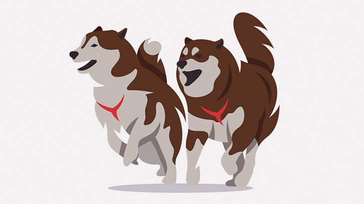 【閲覧注意】トラックに轢かれた犬、破裂･･･（動画）