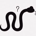 毛むくじゃらのヘビのような謎の生き物が発見される（動画）