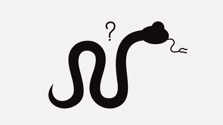 毛むくじゃらのヘビのような謎の生き物が発見される（動画）