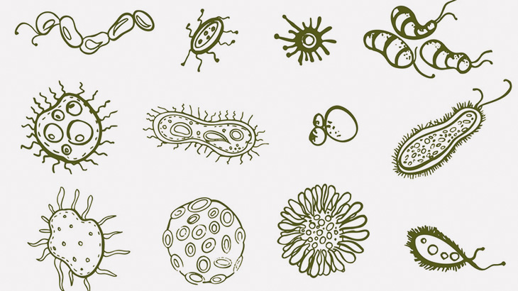 消毒用アルコールで細菌が死ぬ瞬間を撮影してみた（動画）
