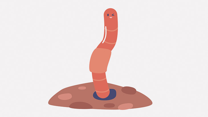 【微閲覧注意】エクアドルにはこんなミミズがいるらしい（画像）