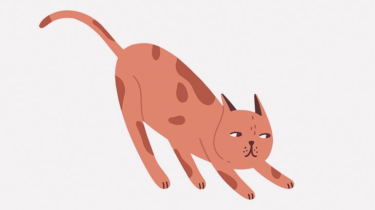 １匹の野良猫さん、３匹の野良犬にめちゃくちゃにやられてしまう･･･
