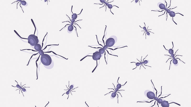 【微閲覧注意】大量のアリがいる土に足置いてみたｗｗｗｗ（動画）