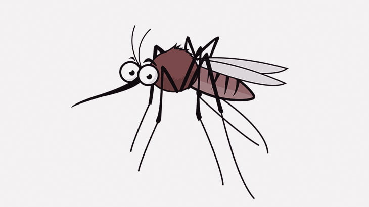 【微閲覧注意】とんでもなく大きな蚊が発見される（画像）