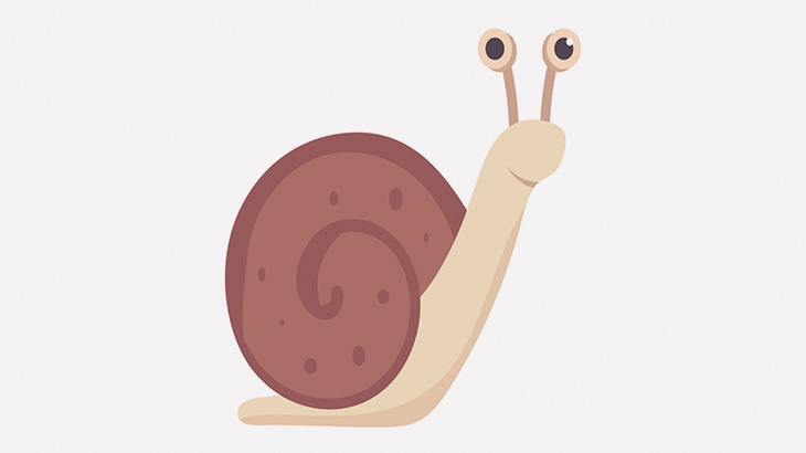 カタツムリの産卵って見たことある？（動画）