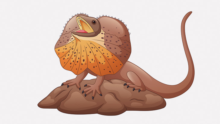 エリマキトカゲからかって遊んだろ！ｗｗｗ（動画）