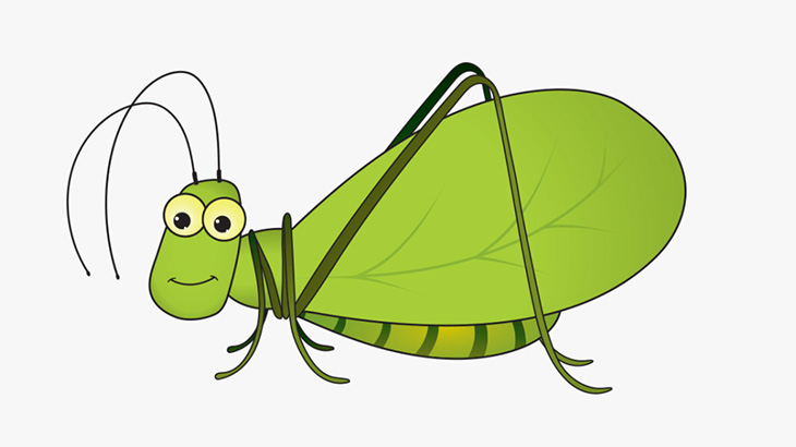 恐ろしいほどデカい昆虫が撮影される（動画）