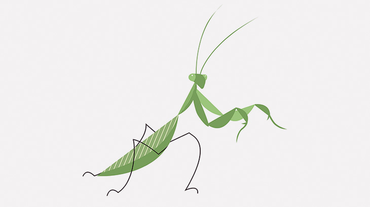 レーザー加工機と戦うカマキリが撮影される（動画）