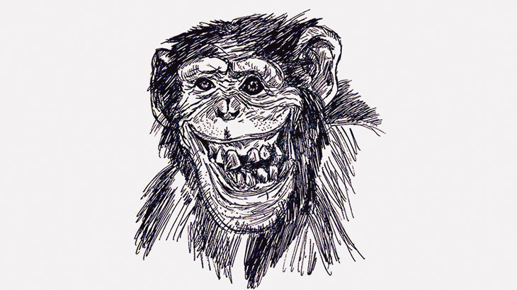 【閲覧注意】チンパンジーに襲われた人々（画像）