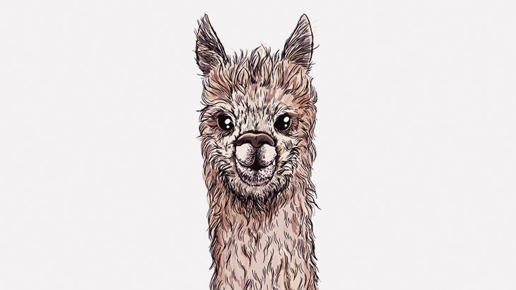 女さん「アルパカ可愛い！キスしちゃお！」→ ツバを吐きかけられる（動画）