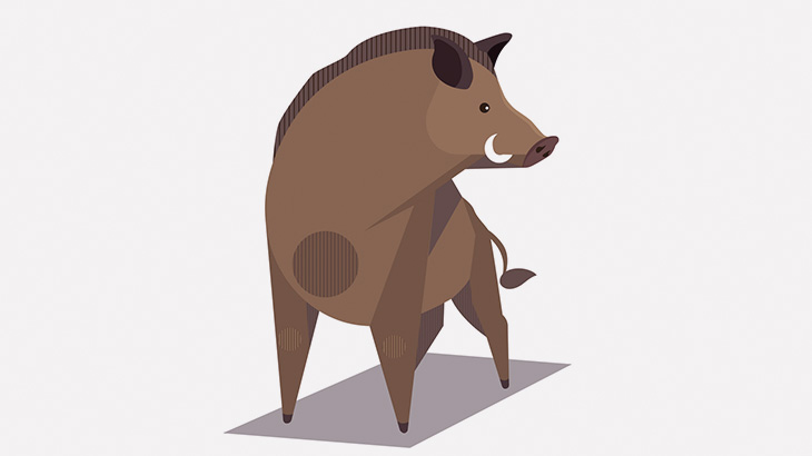 イノシシさん、数十匹の犬に噛み殺されてしまう（動画）