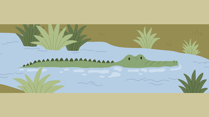 ギャングに捕まった男、ワニの餌にされてしまう･･･（動画）