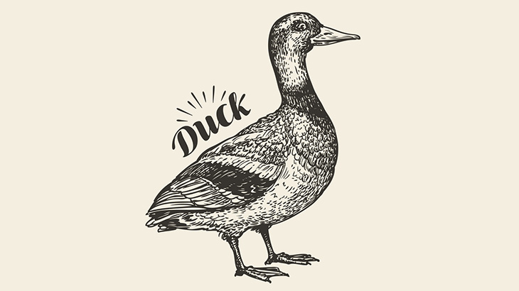 噴水が設置してある池で休んでいたカモさん、空高く舞い上がる（動画）