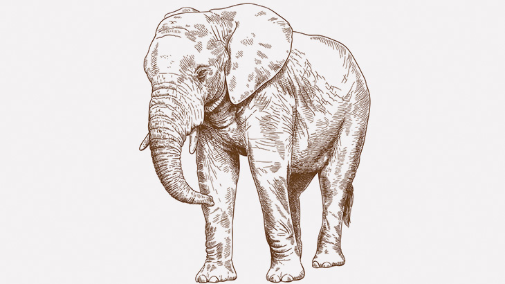 ゾウさん「お腹減ったな」→ 民家を破壊（動画）