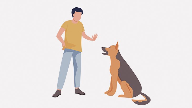 攻撃してくる人間かどうかを見極めるための犬のトレーニング（動画）