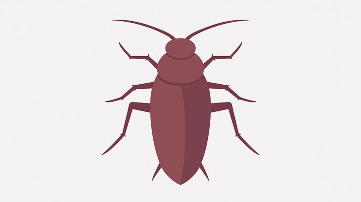 【微閲覧注意】男「ゴキブリ？こうしてやんよ！ｗｗｗｗ」（動画）