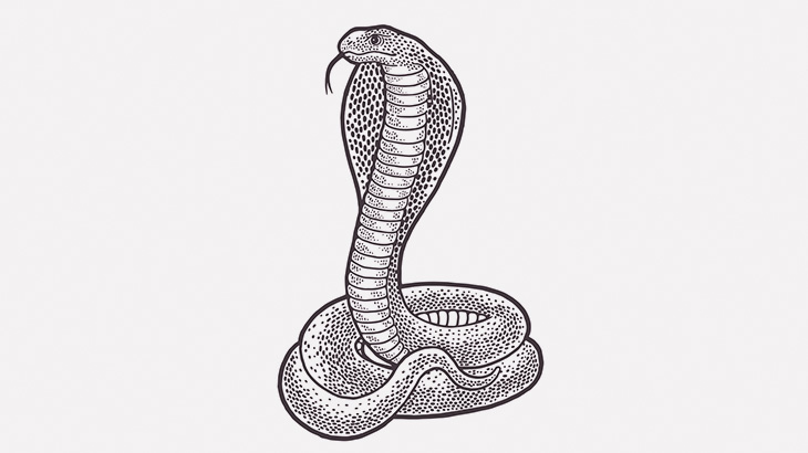 玄関から出た母親と男の子、こんな生物に襲われかけてしまう（動画）