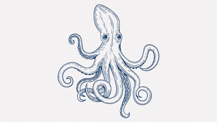 ダイバー「この貝殻どう？」タコ「違う」ダイバー「じゃあこれは？」タコ「ええやん！」（動画）