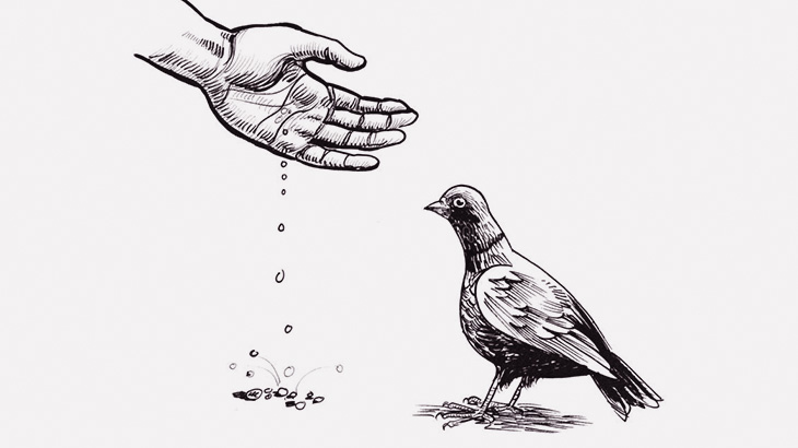 ハトに餌をあげようとして指を突っつかれまくる女（動画）