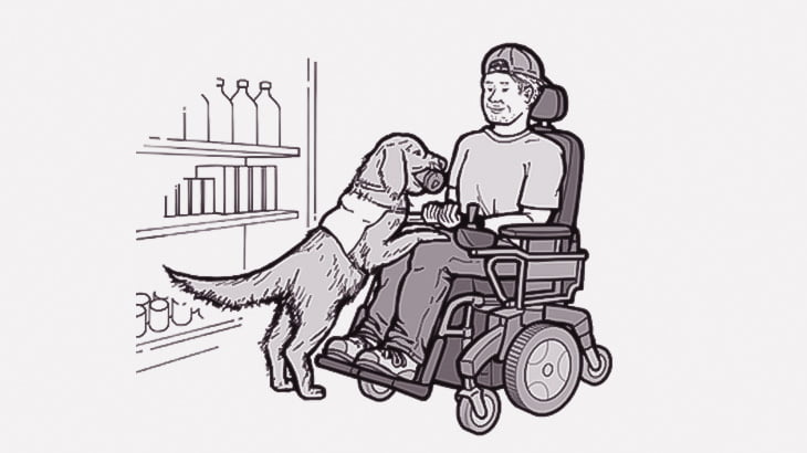 男性が乗った車椅子を押して歩く介助犬（動画）
