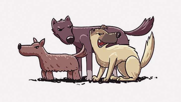 【閲覧注意】犬にチンチンを食われた男性の死体が発見される（動画）