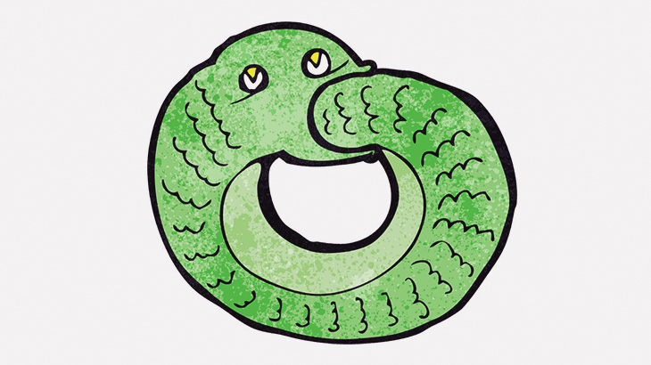 【微閲覧注意】ヘビさん、自分自身を丸飲みしようとしてしまう（動画）