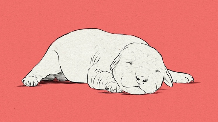 母乳が出る女性「子犬に飲ませよ！」（動画）