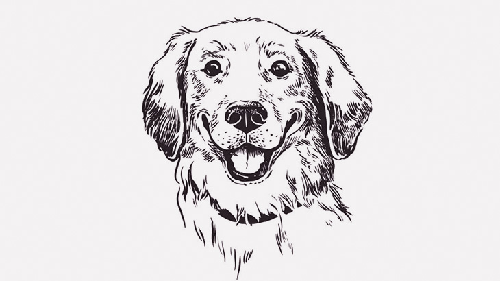 犬「僕は何もしてないよ！（ニッコリ」（動画）