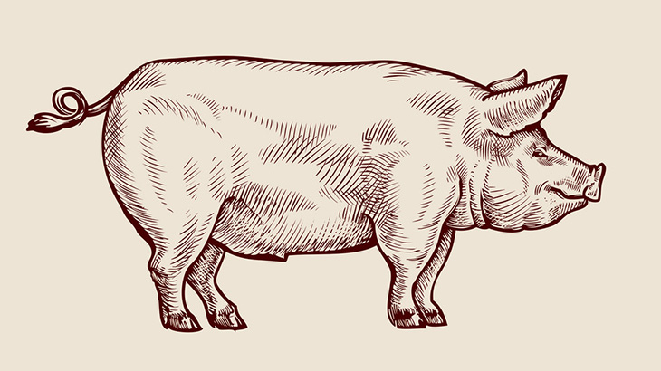 【閲覧注意】戦死したウクライナ兵士、豚に食われてしまう（動画）