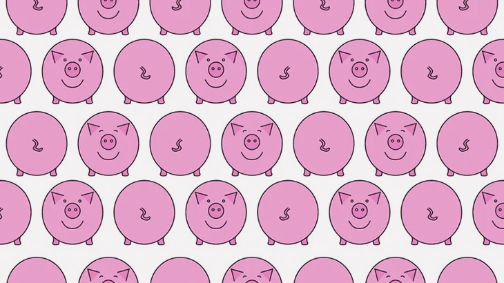 感染症の1050匹の豚、生き埋めにされてしまう（動画）