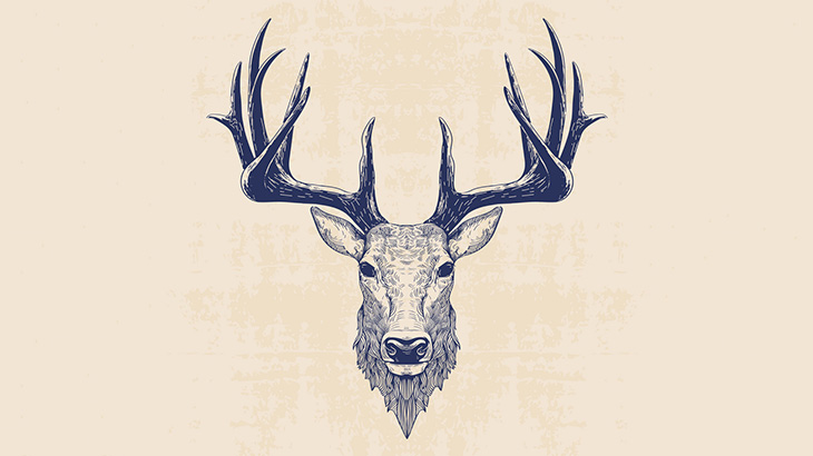 【閲覧注意】ヤベー鹿みつけた･･･（画像）