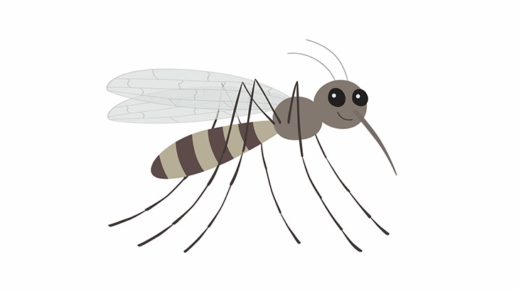 いろんな方法で蚊を殺す男たち（動画）