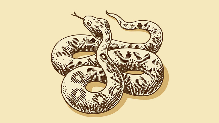 女「ヘビ見つけた！ぶっ殺す！」（動画）