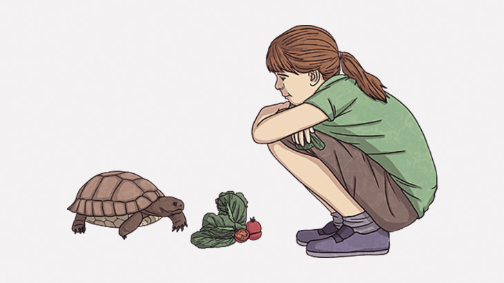 カメに餌をあげてたらとんでもない生き物が現れた（動画）