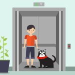 エレベーターの扉に飼い犬のリードが挟まる → 飼い主の女性が負傷（動画）
