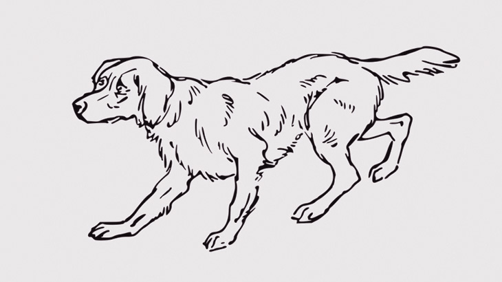 路上にいたワンコさん、右折するトラックに下半身を破壊されてしまう･･･（動画）