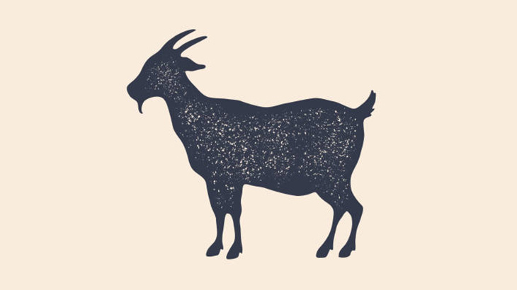 倫理観ぶっ壊れた人間たち、犬にヤギを襲わせて遊んでしまう（動画）