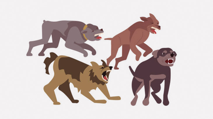 【閲覧注意】野良犬の世話をしていた男、こんな姿で発見される･･･（画像）